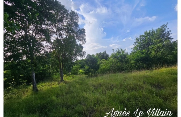 Vente Terrain 2983m&sup2; Bouillante