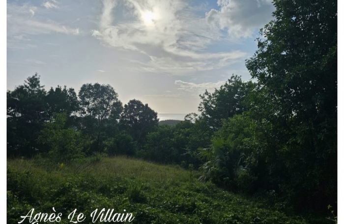 Vente Terrain 2983m&sup2; Bouillante