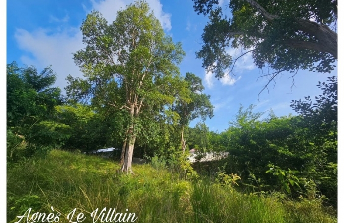 Vente Terrain 2983m&sup2; Bouillante