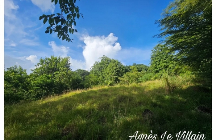 Vente Terrain 2983m&sup2; Bouillante