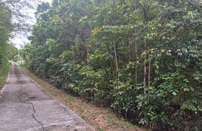 Vente Terrain 6000m&sup2; Deshaies