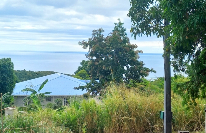 Ne passez pas à côté de ce Beau terrain de 1000 m2 avec vue sur la mer à vendre à VIEUX HABITANTS