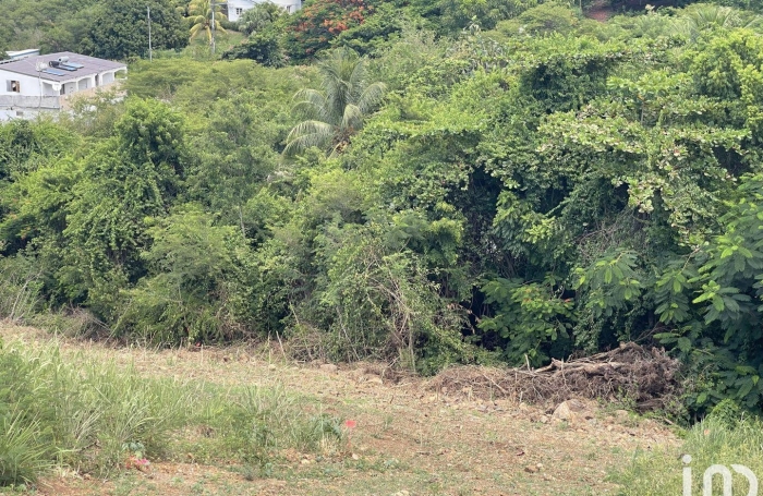 Vente Terrain 789m&sup2; Vieux Habitants