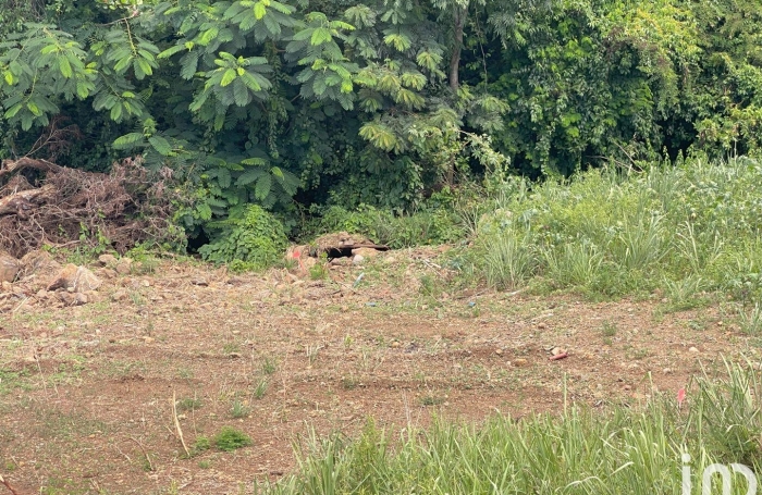 Vente Terrain 789m&sup2; Vieux Habitants