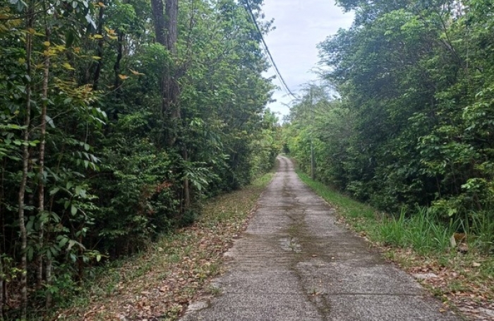 Vente Terrain 1050m&sup2; Deshaies