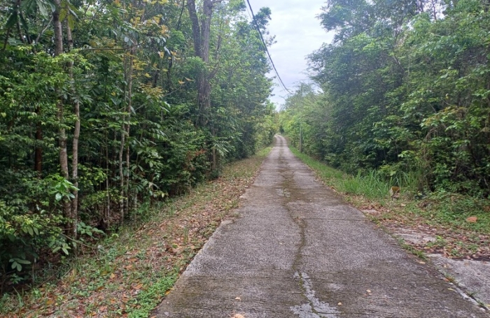 Vente Terrain 1050m&sup2; Deshaies