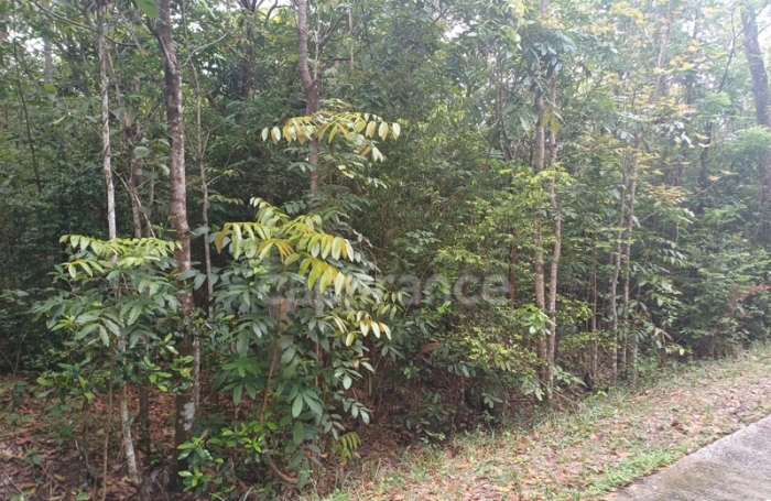 Vente Terrain 1050m&sup2; Deshaies