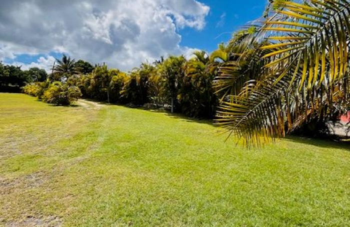 Location Appartement 72.15m&sup2; 2 pi&#232;ces Le Moule