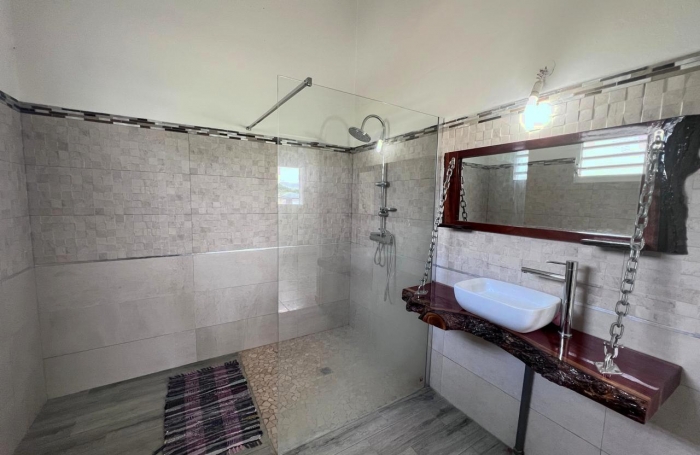 Superbe appartement 4 pièces meublé avec mezzanine et grande terrasse - LONGFORT IMMOBILIER