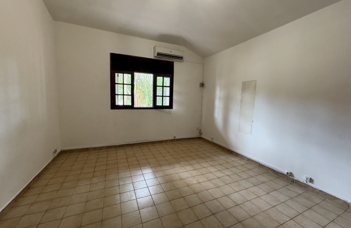 LOCAL PROFESSIONNEL AVENUE PATRICK SAINT ELOI LES ABYMES