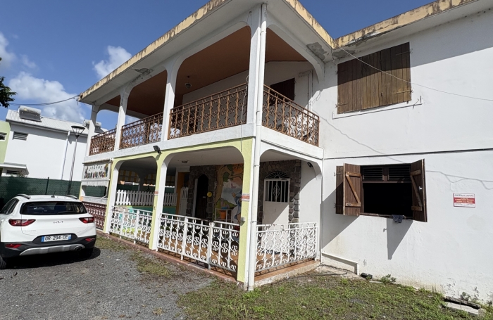 LOCAL PROFESSIONNEL AVENUE PATRICK SAINT ELOI LES ABYMES