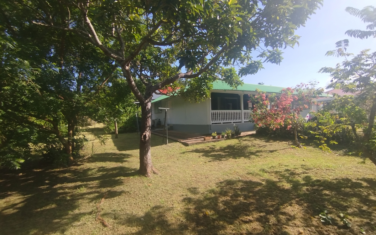 maison 250m2 4 chambres 2 sdb 1598m2terrain + carbet 340000€