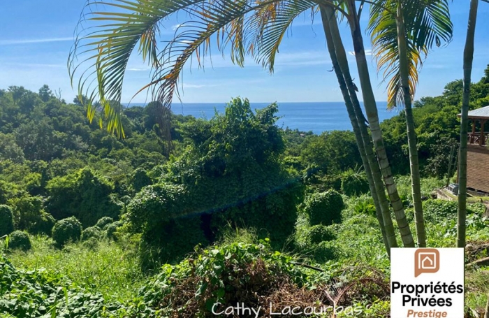 Vente Terrain 7709m&sup2; Bouillante