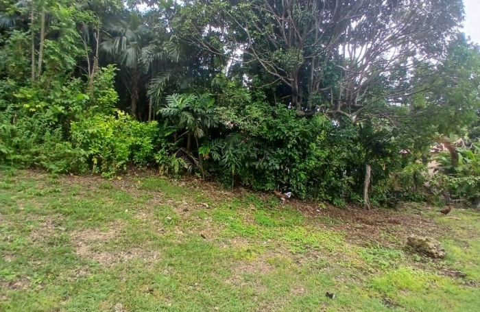 Vente Terrain 800m&sup2; Gosier