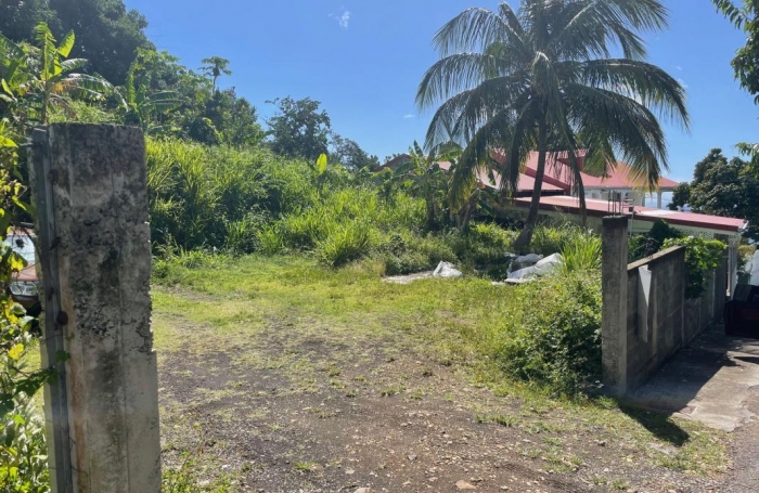 Vente Terrain 545m&sup2; Gourbeyre