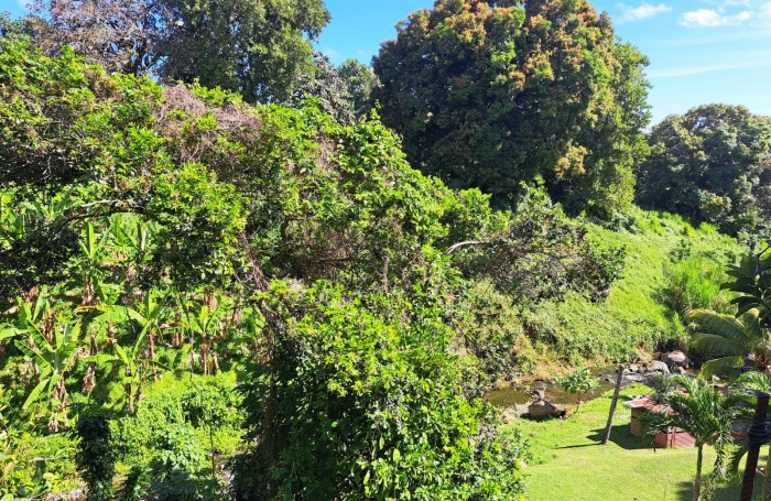 MAISON F4 DANS LOTISSEMENT, IDEALEMENT SITUEE