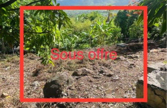 Vente Terrain 97119