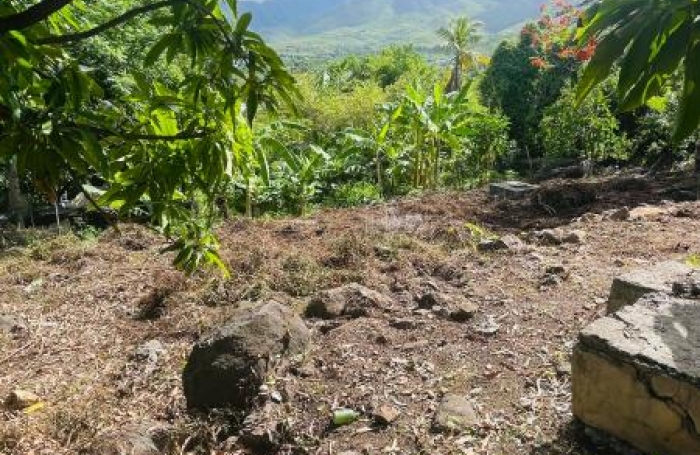 Vente Terrain 366m&sup2; Vieux Habitants