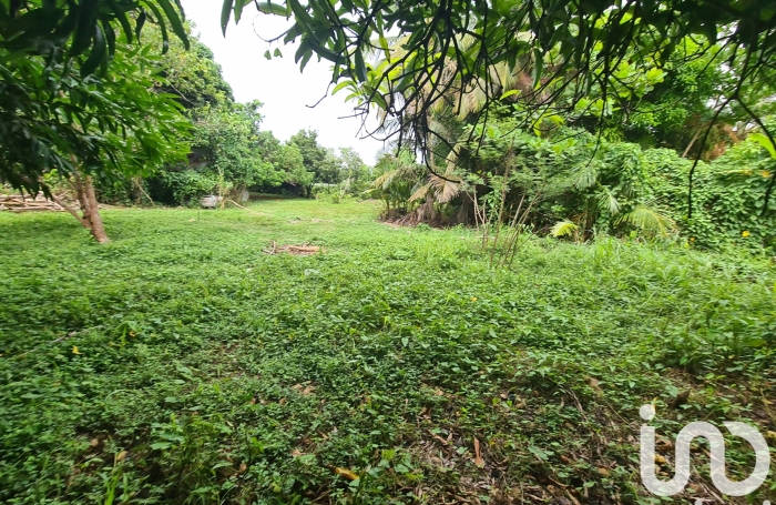 Vente Terrain 1196m&sup2; Le Moule