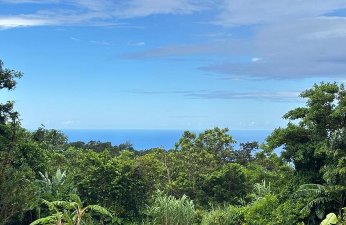 Location Maison 130.04m&sup2; 4 pi&#232;ces Saint Claude