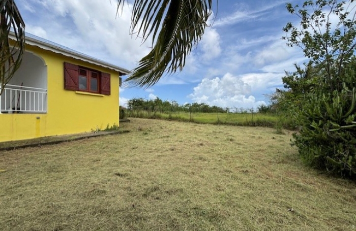 Maison individuelle à Anse-Bertrand - LONGFORT IMMOBILIER