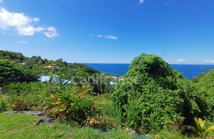 Vente Terrain 4516m&sup2; Bouillante