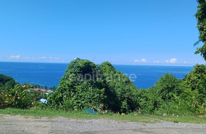 Vente Terrain 4516m&sup2; Bouillante