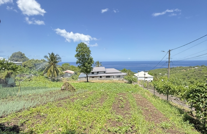 Vente Terrain 97119