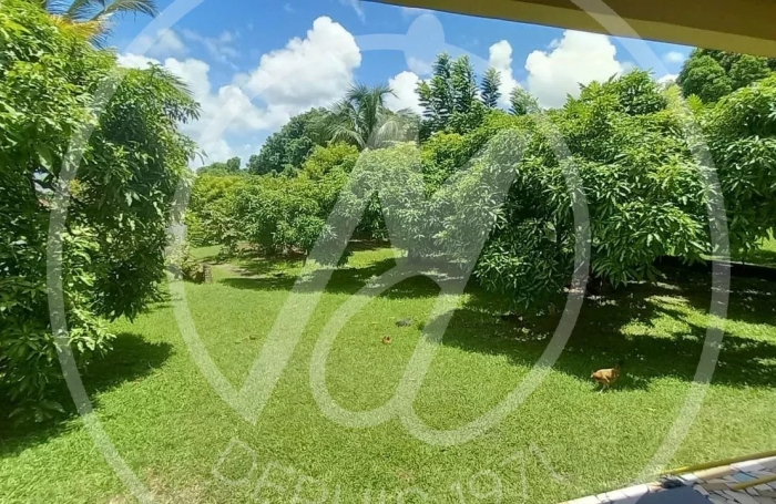 Vente Maison 6 pi&#232;ces Les Abymes