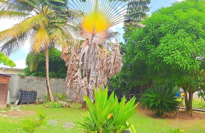 Vente Maison 78m&sup2; 4 pi&#232;ces Anse-Bertrand