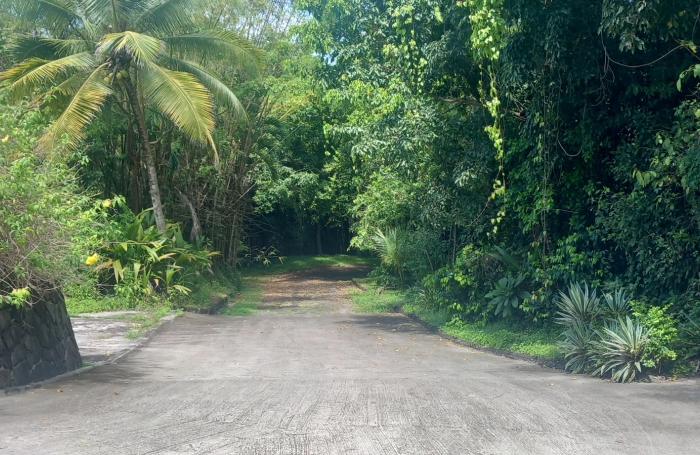 LES ABYMES - BESSON  :  PROPRIETE DE 7962 m2