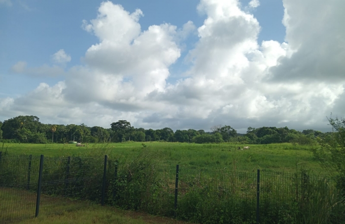 VILLA MITOYENNE T4 en R+1  -  BOIS SERGENT 97170 PETIT-BOURG