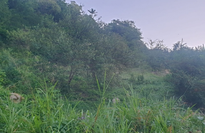 Vente Terrain 2000m&sup2; Gosier