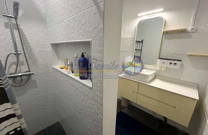 Maison familiale d'architecture créole sur deux niveaux - Trois logements indépendants