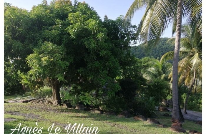 Vente Maison 550m&sup2; 28 pi&#232;ces Deshaies