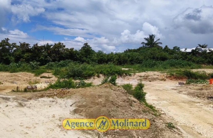 Vente Terrain Sainte Anne