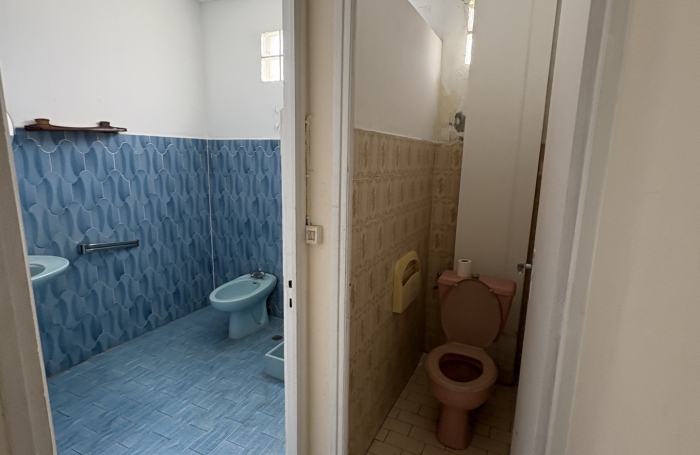 LOCAL PROFESSIONNEL AVENUE PATRICK SAINT ELOI LES ABYMES