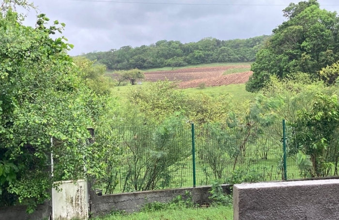 Location Maison 53m&sup2; 3 pi&#232;ces Sainte Anne