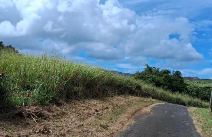 Vente Terrain 7291m&sup2; Sainte Rose