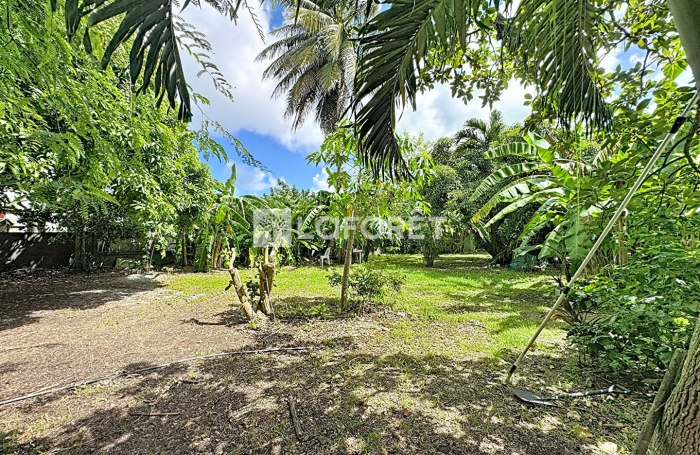 Location Appartement 67.7m² 3 pièces Le Moule