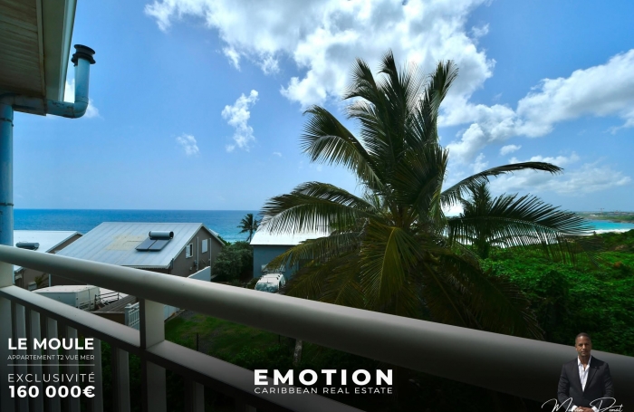 Vente Appartement 97160