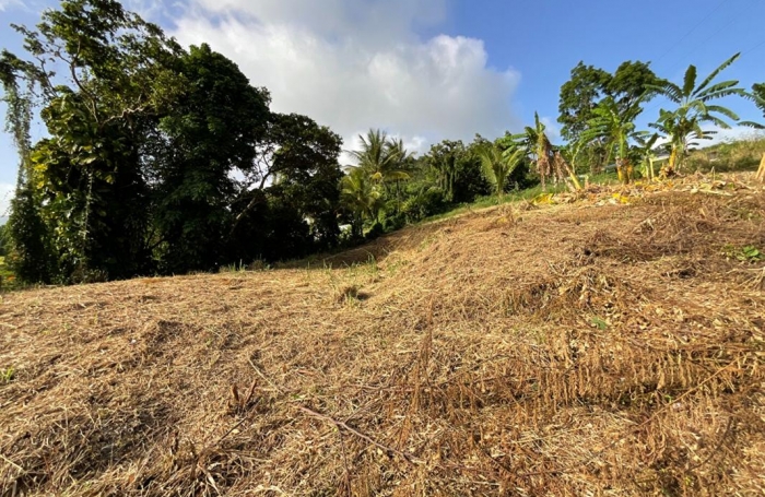 Vente Terrain 1111m&sup2; Gourbeyre