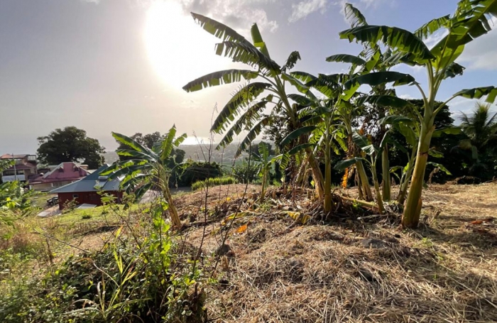 Vente Terrain 1111m&sup2; Gourbeyre