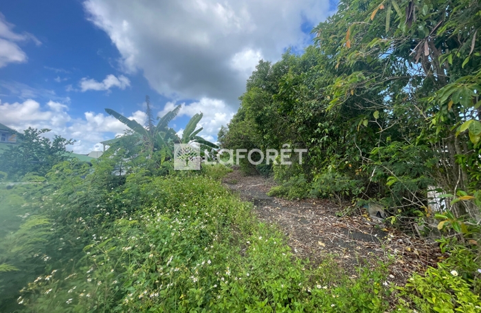 Vente Terrain 400m² Petit-Canal