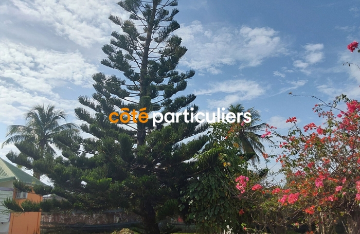 Vente Terrain 1800m² 10 pièces Capesterre de Marie Galante