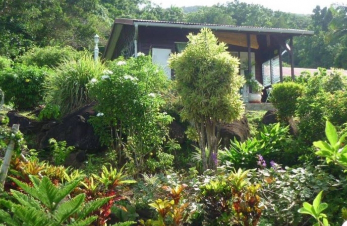 Vente Terrain 5005m² 9 pièces Pointe-Noire