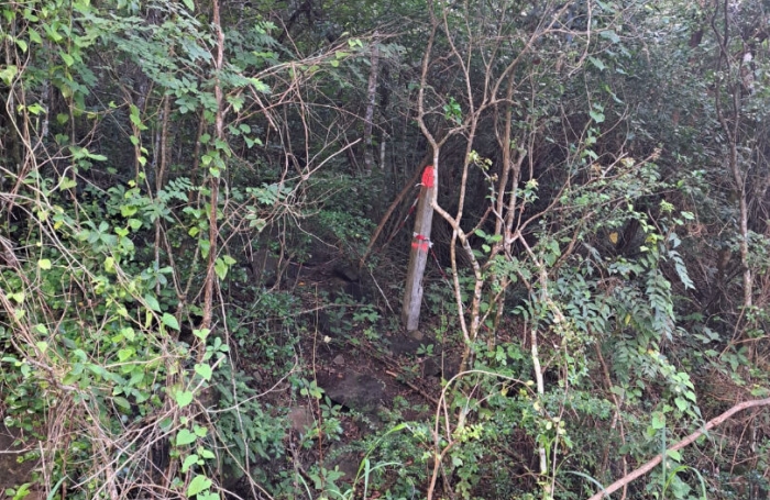 Vente Terrain 2459m² Bouillante