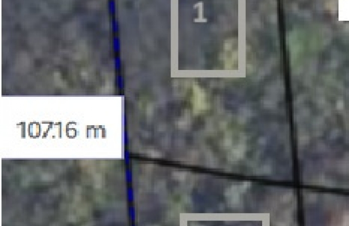 BEAU TERRAIN  2459 m2 BOISÉ -VUE MER -  SECTEUR CALME ET PRIVILÉGIÉ