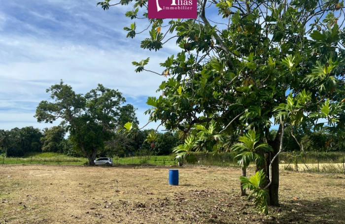 Location Terrain 97139