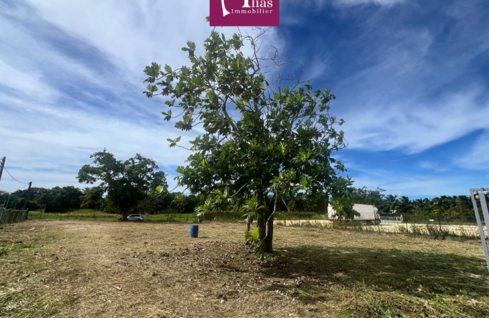 &Agrave; louer - Terrain 1986m2 Divisible - Perrin - CHU Guadeloupe - Les Abymes
